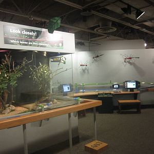 Jul. 2012-2nd Leaf-cutter Ant Station