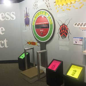 Jul. 2012-Human to Insect Weight scale