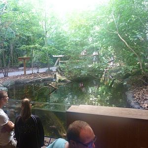 Upland Rivers Exhibit 7-18-19