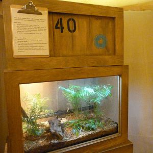 Conservation Station (7-18-12)