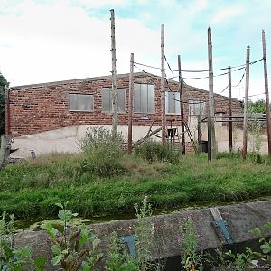 Old Ape House - 26/07/2012