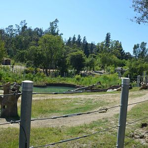 Elephants of Cambodia Yard