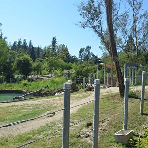 Elephants of Cambodia Yard