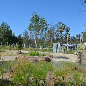 Billy - Deep Water Pool Yard