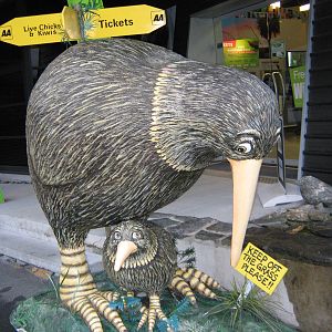 kiwi statue outside the West Coast Wildlife Centre