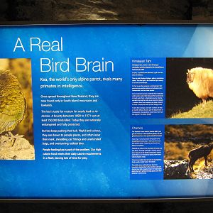 signage in the glacier room