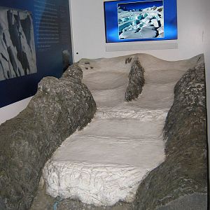 glacier in the glacier room