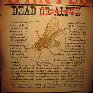 West Coast Wildlife Centre