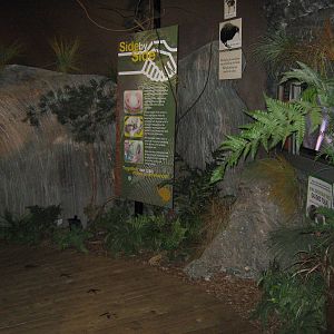 West Coast Wildlife Centre