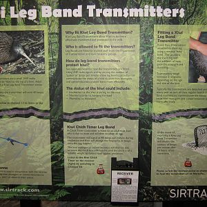 West Coast Wildlife Centre