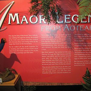 West Coast Wildlife Centre