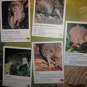 West Coast Wildlife Centre