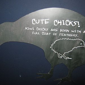 West Coast Wildlife Centre