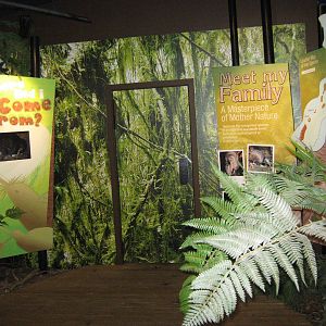 West Coast Wildlife Centre