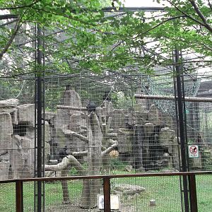 Francois Langur enclosure