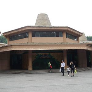 Front of Gorilla Complex