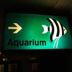 Bolton Museum Aquarium