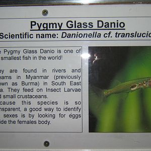 Bolton Museum Aquarium