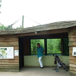 Small Cat Viewing Area at Dierenrijk, 31/05/12
