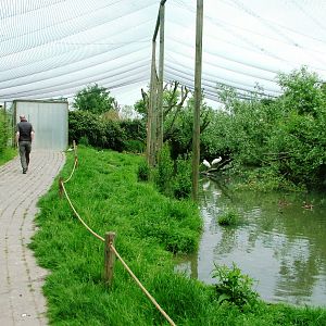 Walkthrough Aviary at Dierenrijk, 31/05/12
