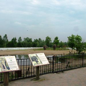 Asian Elephant Paddock at Dierenrijk, 31/05/12