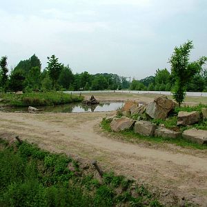 Asian Elephant Paddock at Dierenrijk, 31/05/12