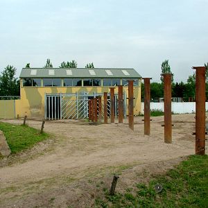 Asian Elephant Paddock at Dierenrijk, 31/05/12