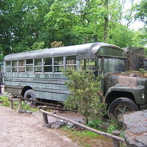 View of the way you view the Stripped Skunk exhibit