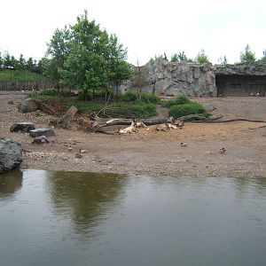 View of Reindeer enclosure and waterfowl lake