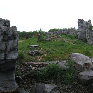 View Of Bear exhibit