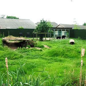 Bear and Fox Exhibit at Dierenrijk, 31/05/12
