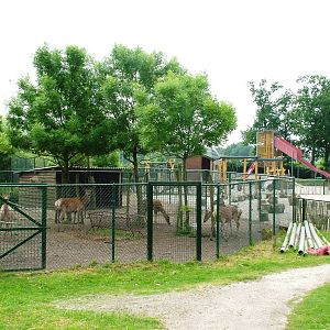 Deer Hardstanding at Dierenrijk, 31/05/12