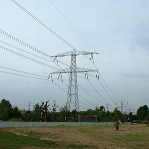 Asian Elephant Paddock at Dierenrijk, 31/05/12