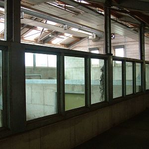 Elephant House at Dierenrijk, 31/05/12