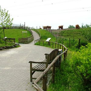General View at Dierenrijk, 31/05/12