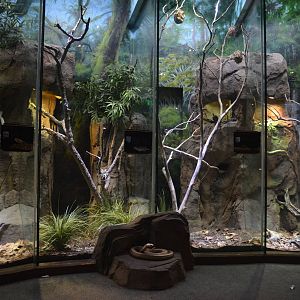 Various LAIR Habitats