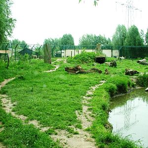Bear/Wolf Exhibit at Dierenrijk, 31/05/12