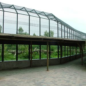Tiger Viewing at Dierenrijk, 31/05/12