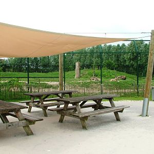 Bear/Wolf Exhibit at Dierenrijk, 31/05/12