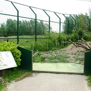 Arctic Fox Exhibit at Dierenrijk, 31/05/12