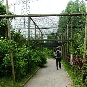 Raven Aviary at Dierenrijk, 31/05/12