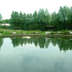 Polar Bear Exhibit at Dierenrijk, 31/05/12