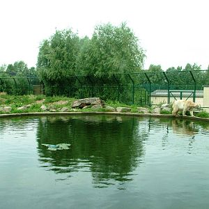 Polar Bear Exhibit at Dierenrijk, 31/05/12