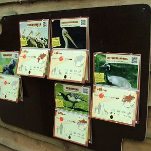 Walkthrough Aviary Signage at Dierenrijk, 31/05/12