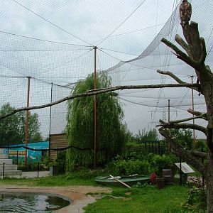 Common Seal and White-tailed Sea Eagle Exhibit at Dierenrijk, 31/05/12