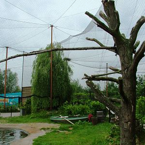 Common Seal and White-tailed Sea Eagle Exhibit at Dierenrijk, 31/05/12