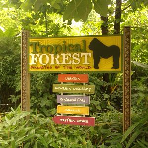 Tropical Forest Entrace Sign