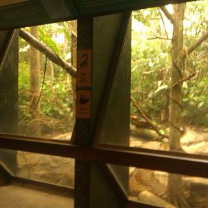 White faced Saki,Two-Toed Sloth and Cotton Top Tamarin Exhibit