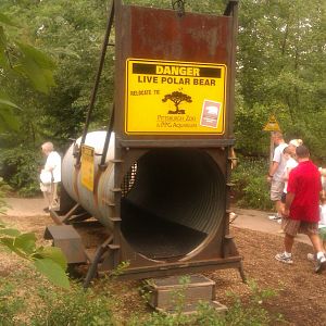Polar bear Trap in Water's edge
