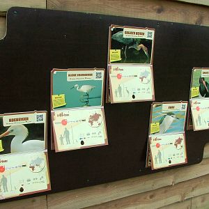 Walkthrough Aviary Signage at Dierenrijk, 31/05/12